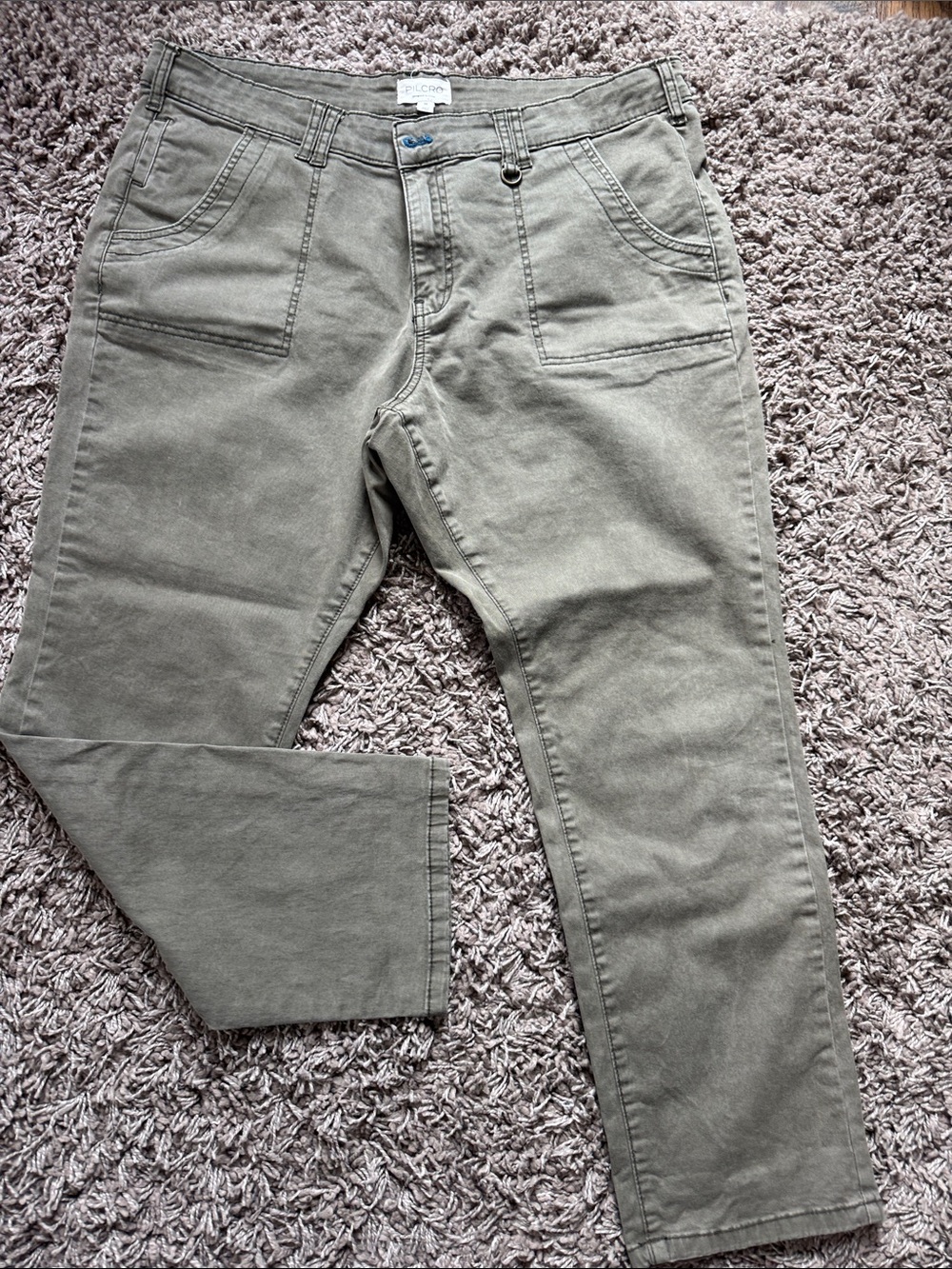 Pilcro Jefferson Utility Pants | 34